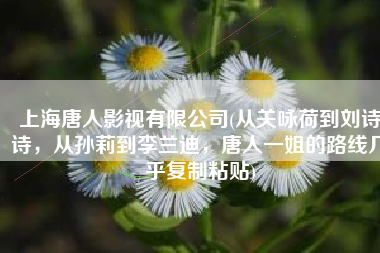 上海唐人影视有限公司(从关咏荷到刘诗诗，从孙莉到李兰迪，唐人一姐的路线几乎复制粘贴)