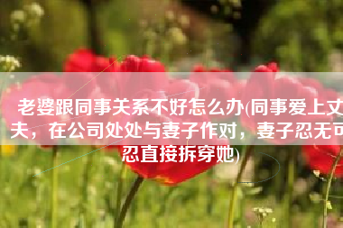 老婆跟同事关系不好怎么办(同事爱上丈夫，在公司处处与妻子作对，妻子忍无可忍直接拆穿她)