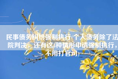 民事债务纠纷强制执行(个人债务除了法院判决，还有这4种情形申请强制执行，不用打官司)