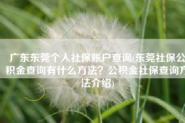 广东东莞个人社保账户查询(东莞社保公积金查询有什么方法？公积金社保查询方法介绍)