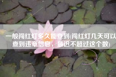 一般闯红灯多久能查到(闯红灯几天可以查到违章信息，最迟不超过这个数)