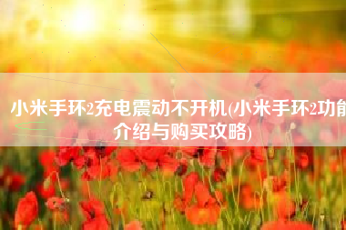 小米手环2充电震动不开机(小米手环2功能介绍与购买攻略)