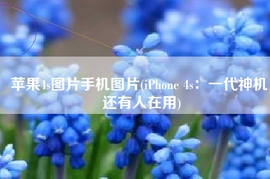 苹果4s图片手机图片(iPhone 4s：一代神机，还有人在用)