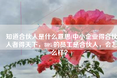 知道合伙人是什么意思(中小企业得合伙人者得天下，80%的员工是合伙人，会怎么样？)