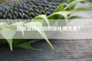 包装设计公司的设计理念是？