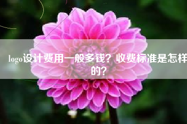 logo设计费用一般多钱？收费标准是怎样的？