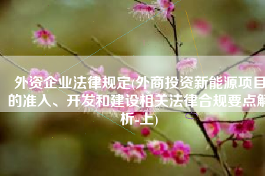 外资企业法律规定(外商投资新能源项目的准入、开发和建设相关法律合规要点解析-上)