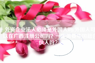 外资企业法人必须是外国人吗(外国人可以在广西注册公司吗？一定需要中国籍合伙人吗？)