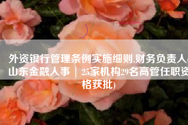 外资银行管理条例实施细则,财务负责人(山东金融人事 | 25家机构29名高管任职资格获批)