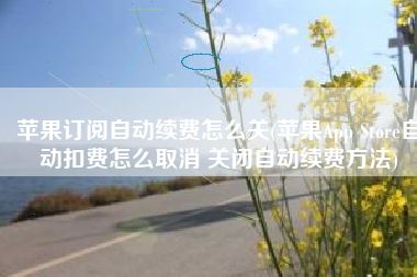 苹果订阅自动续费怎么关(苹果App Store自动扣费怎么取消 关闭自动续费方法)