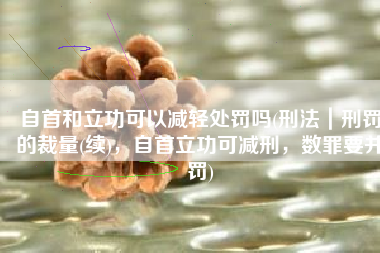 自首和立功可以减轻处罚吗(刑法｜刑罚的裁量(续)，自首立功可减刑，数罪要并罚)