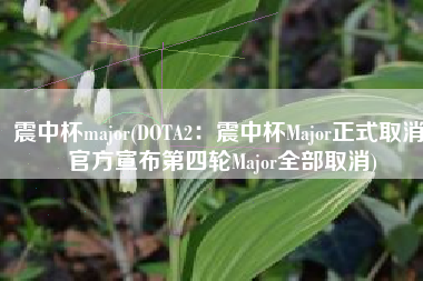 震中杯major(DOTA2：震中杯Major正式取消！官方宣布第四轮Major全部取消)