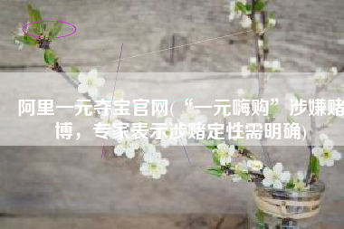 阿里一元夺宝官网(“一元嗨购”涉嫌赌博，专家表示涉赌定性需明确)