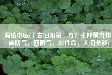 消法中医(千古回阳第一方？张仲景力作，破阴气，回阳气，救性命，人间美谈)