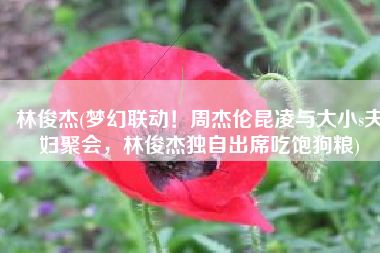 林俊杰(梦幻联动！周杰伦昆凌与大小s夫妇聚会，林俊杰独自出席吃饱狗粮)