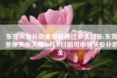 东莞失业补助金审核通过多久到账(东莞参保失业人员12月31日前可申领失业补助金)