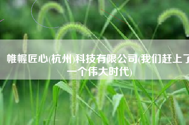 帷幄匠心(杭州)科技有限公司(我们赶上了一个伟大时代)