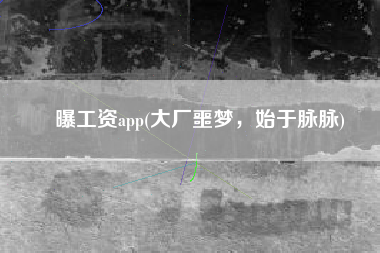 曝工资app(大厂噩梦，始于脉脉)