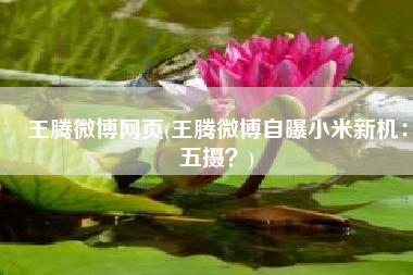 王腾微博网页(王腾微博自曝小米新机：五摄？)