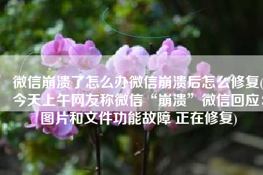 微信崩溃了怎么办微信崩溃后怎么修复(今天上午网友称微信“崩溃”微信回应：图片和文件功能故障 正在修复)