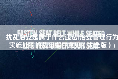 扰乱治安是属于什么违法(治安管理行为实施处罚的裁量指导意见（大全版）)