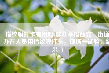 指纹膜打卡有用吗(群众举报西安一街道办有人员用指纹膜打卡，现场一试验，结果...)