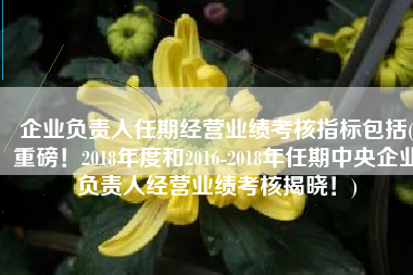 企业负责人任期经营业绩考核指标包括(重磅！2018年度和2016-2018年任期中央企业负责人经营业绩考核揭晓！)