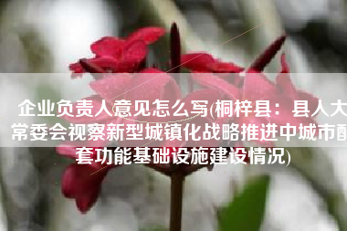 企业负责人意见怎么写(桐梓县：县人大常委会视察新型城镇化战略推进中城市配套功能基础设施建设情况)