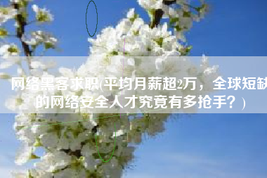 网络黑客求职(平均月薪超2万，全球短缺的网络安全人才究竟有多抢手？)