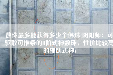 数珠最多能获得多少个佛珠(阴阳师：可驱散可推条的R阶式神数珠，性价比较高的辅助式神)
