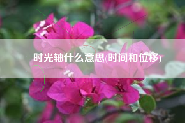 时光轴什么意思(时间和位移)