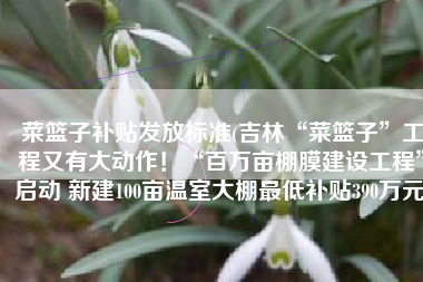 菜篮子补贴发放标准(吉林“菜篮子”工程又有大动作！“百万亩棚膜建设工程”启动 新建100亩温室大棚最低补贴390万元)