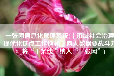 一张网信息化管理系统(【市域社会治理现代化试点工作巡礼】向大数据要战斗力：将“千条线”纳入“一张网”)