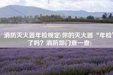 消防灭火器年检规定(你的灭火器“年检”了吗？消防部门查一查)