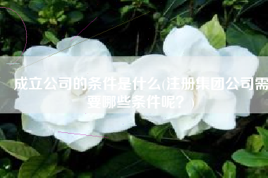 成立公司的条件是什么(注册集团公司需要哪些条件呢？)