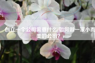 创立一个公司需要什么(如何做一家小而美的公司？)