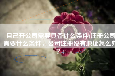 自己开公司需要具备什么条件(注册公司需要什么条件，公司注册没有地址怎么办？)