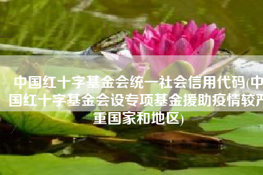 中国红十字基金会统一社会信用代码(中国红十字基金会设专项基金援助疫情较严重国家和地区)