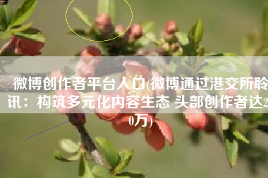 微博创作者平台入口(微博通过港交所聆讯：构筑多元化内容生态 头部创作者达230万)