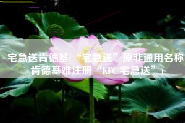 宅急送肯德基(“宅急送”原非通用名称，肯德基难注册“KFC 宅急送”)