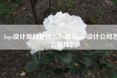 logo设计原则是什么？青岛logo设计公司怎么选择？