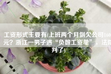 工资形式主要有(上班两个月倒欠公司1600元？浙江一男子遇“负数工资单”，法院判了)