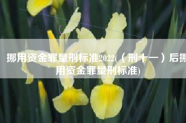 挪用资金罪量刑标准2022(（刑十一）后挪用资金罪量刑标准)