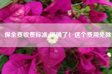 保全费收费标准(明确了！这个费用免除)