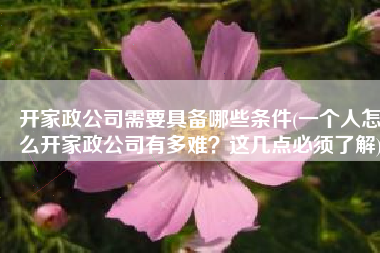 开家政公司需要具备哪些条件(一个人怎么开家政公司有多难？这几点必须了解)