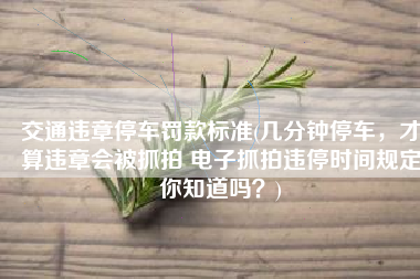 交通违章停车罚款标准(几分钟停车，才算违章会被抓拍 电子抓拍违停时间规定你知道吗？)