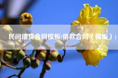 民间借贷合同模板(借款合同（模板）)