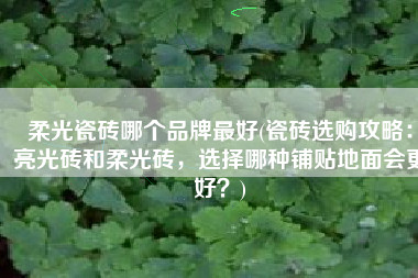 柔光瓷砖哪个品牌最好(瓷砖选购攻略：亮光砖和柔光砖，选择哪种铺贴地面会更好？)