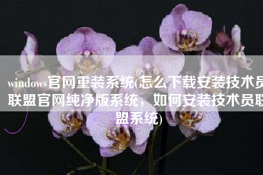 windows官网重装系统(怎么下载安装技术员联盟官网纯净版系统，如何安装技术员联盟系统)
