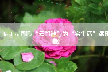 beehive酒吧(“云蹦迪”为“宅生活”添乐趣)